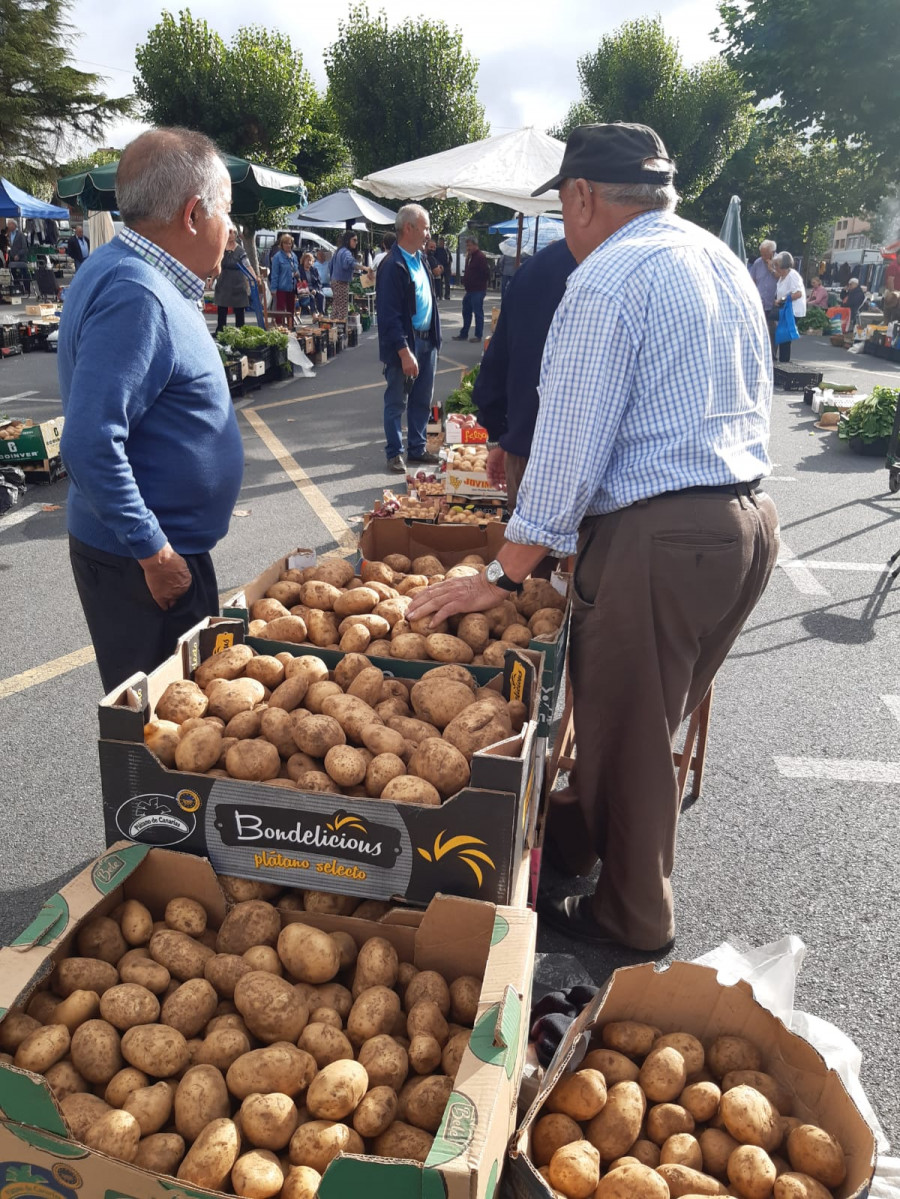 Amplia oferta de patata autóctona en la feria de Paiosaco