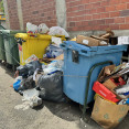 Basura carballo