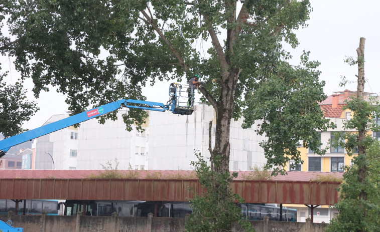 El paisaje fluvial de Carballo sufre una nueva transformación en el parque  do Anllóns