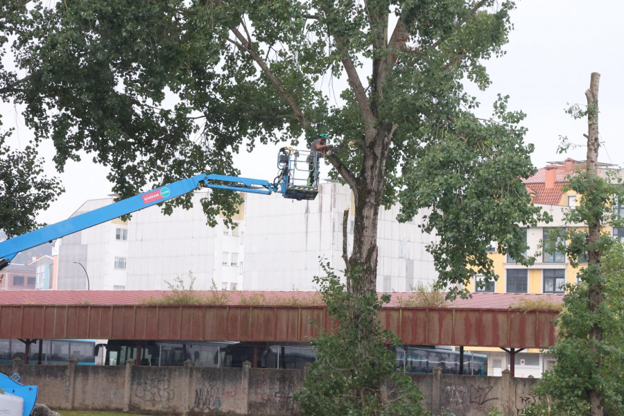 El paisaje fluvial de Carballo sufre una nueva transformación en el parque  do Anllóns