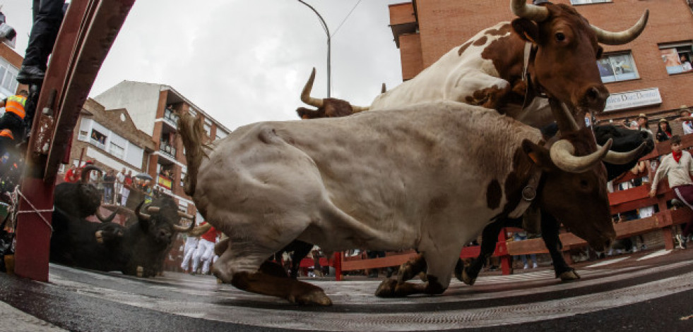 Un muerto y dos adultos y una niña heridos tras escaparse un toro de un encierro