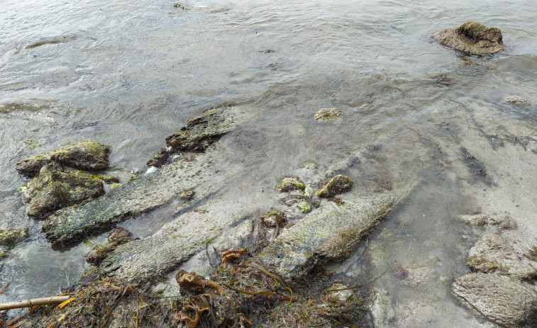 La Factoría Marítima Albaola de Gipuzkoa colabora con la identificación del Pecio de Arnela