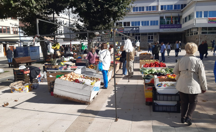 El precio de las alubias en la feria de Carballo alcanzó los doce euros el kilo