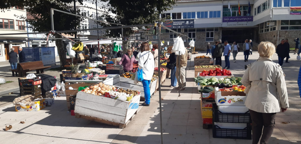 El precio de las alubias en la feria de Carballo alcanzó los doce euros el kilo