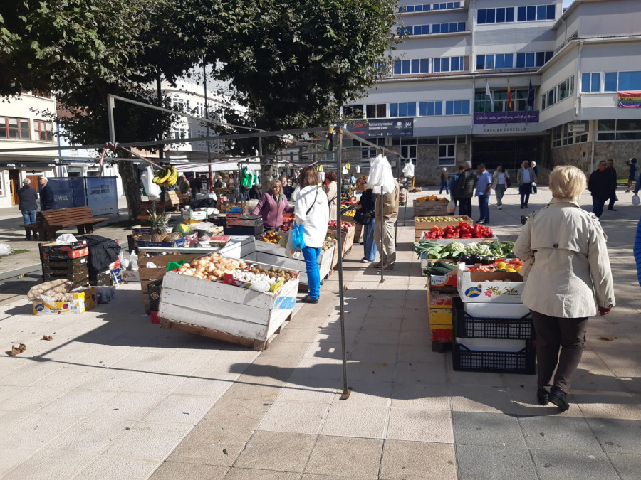 El precio de las alubias en la feria de Carballo alcanzó los doce euros el kilo