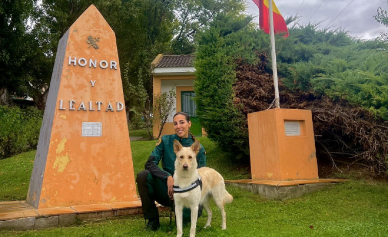 La perra Bica aprueba las oposiciones a Guardia Civil con sobresaliente