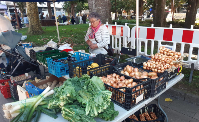 El efecto de las lluvias en los cultivos mantiene los precios elevados en la feria carballesa