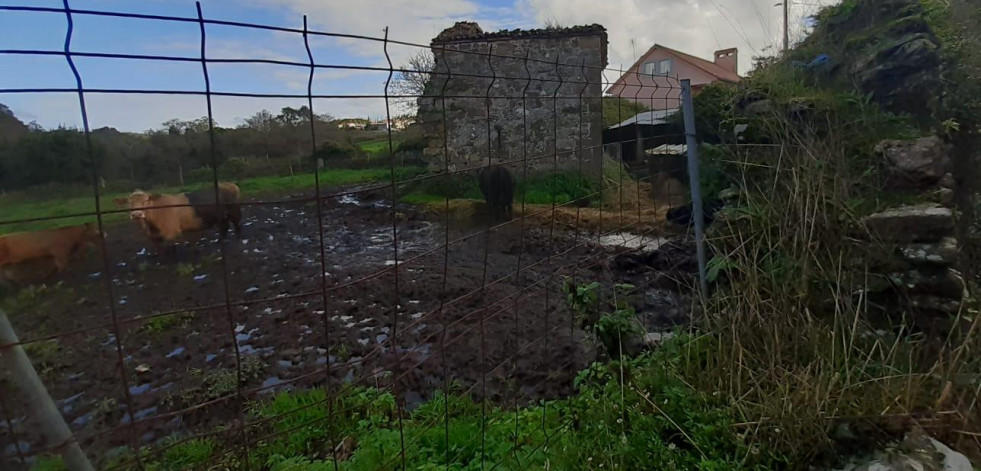 A Laracha aprueba de forma definitiva la expropiación de las Torres de Cillobre