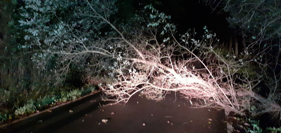 Retirado un árbol caído en la carretera de Xestal, en la parroquia larachesa de Montemaior