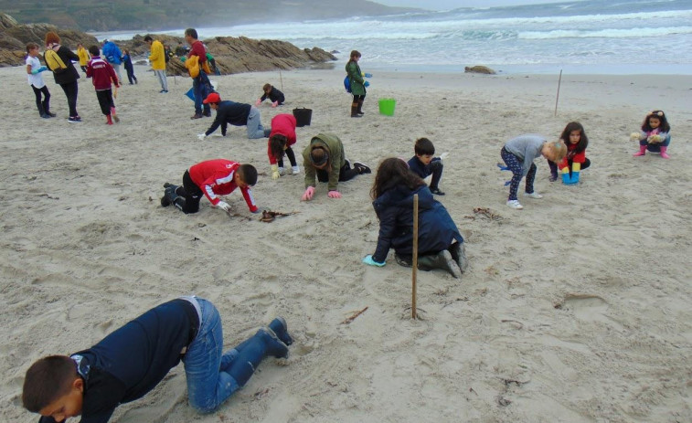 Escolares de A Laracha y Arteixo colaborarán en la XIII Limpieza simultánea de playas de Adega