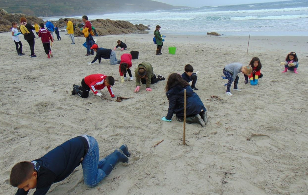 Escolares de A Laracha y Arteixo colaborarán en la XIII Limpieza simultánea de playas de Adega