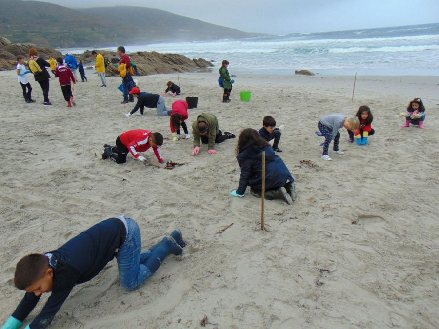 Escolares de A Laracha y Arteixo colaborarán en la XIII Limpieza simultánea de playas de Adega