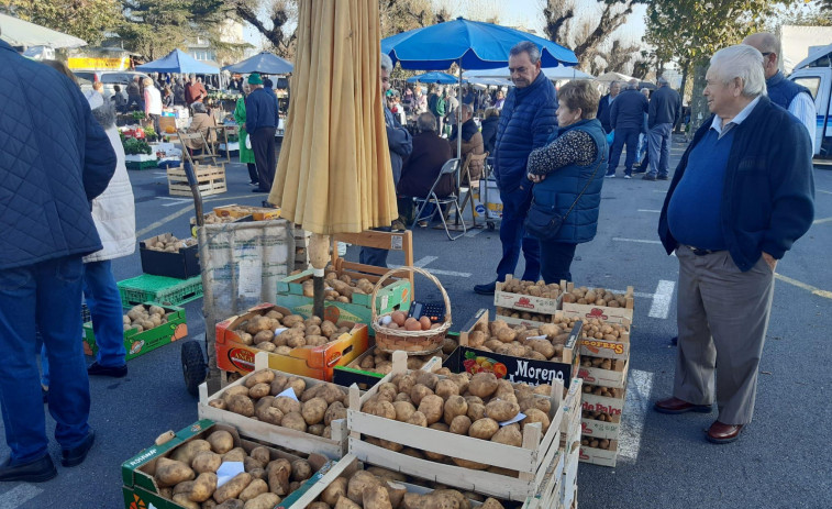 La cosecha tardía llena Paiosaco con casi tres toneladas de patatas de las huertas locales