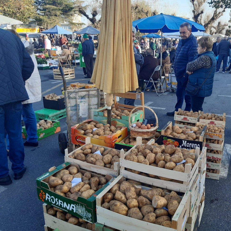 La cosecha tardía llena Paiosaco con casi tres toneladas de patatas de las huertas locales