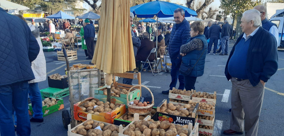 La cosecha tardía llena Paiosaco con casi tres toneladas de patatas de las huertas locales