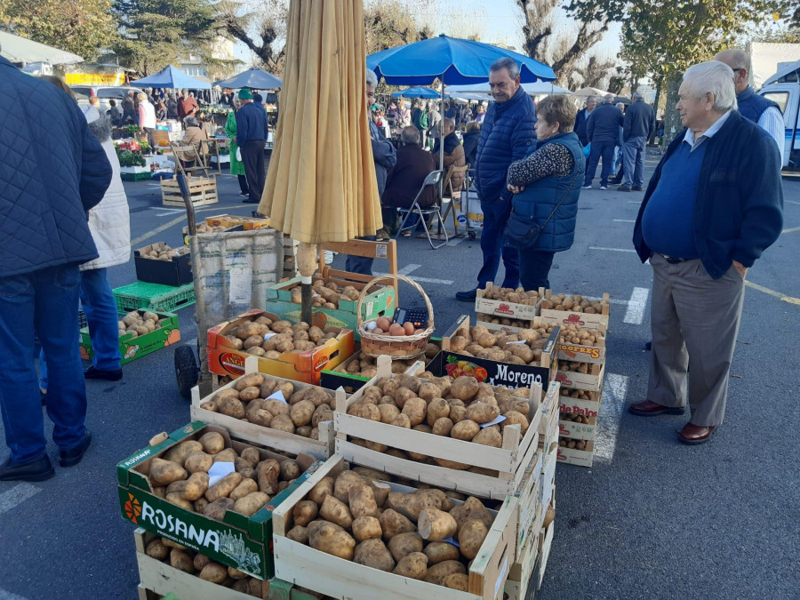 La cosecha tardía llena Paiosaco con casi tres toneladas de patatas de las huertas locales