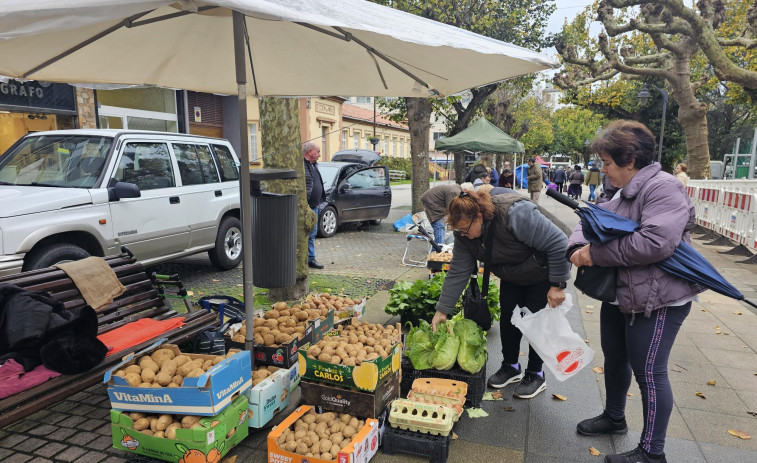 Las patatas llenaron la feria de Carballo