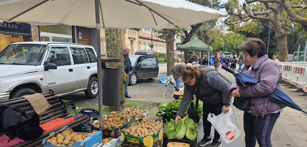 Las patatas llenaron la feria de Carballo