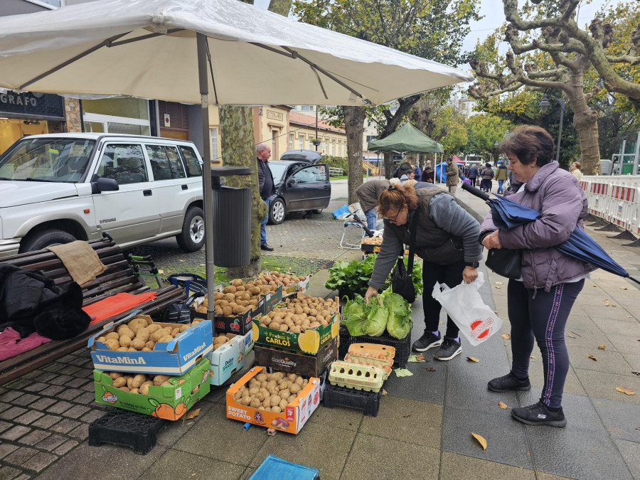 Las patatas llenaron la feria de Carballo