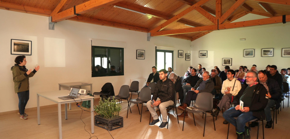 Gestión forestal y cuidado de los montes, en Coristanco