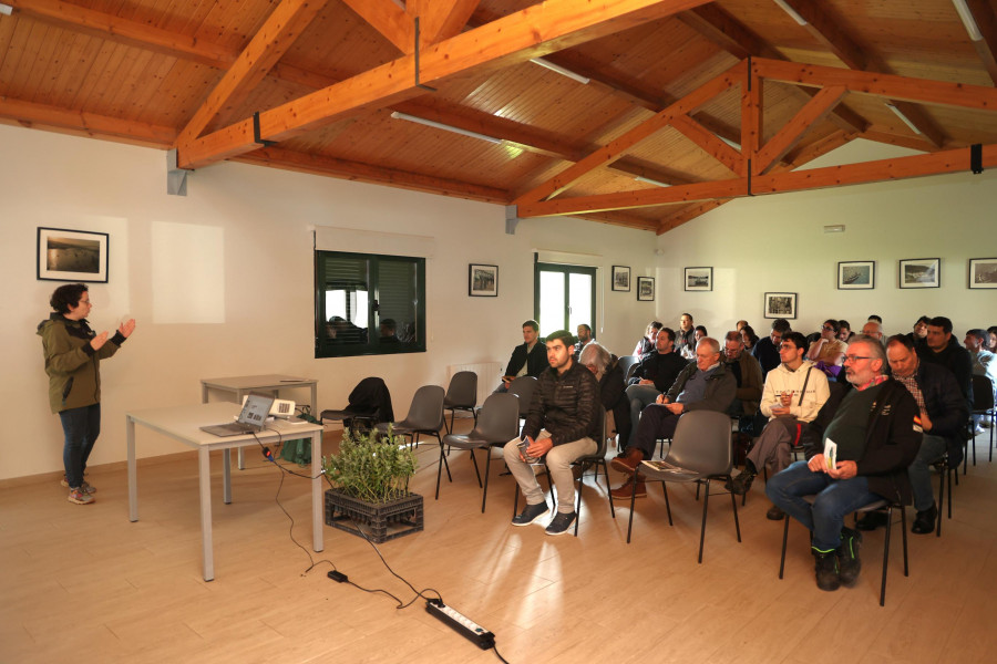 Gestión forestal y cuidado de los montes, en Coristanco