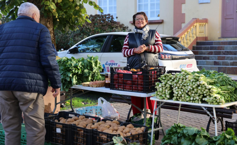 Animada feria en Carballo, en una jornada casi veraniega