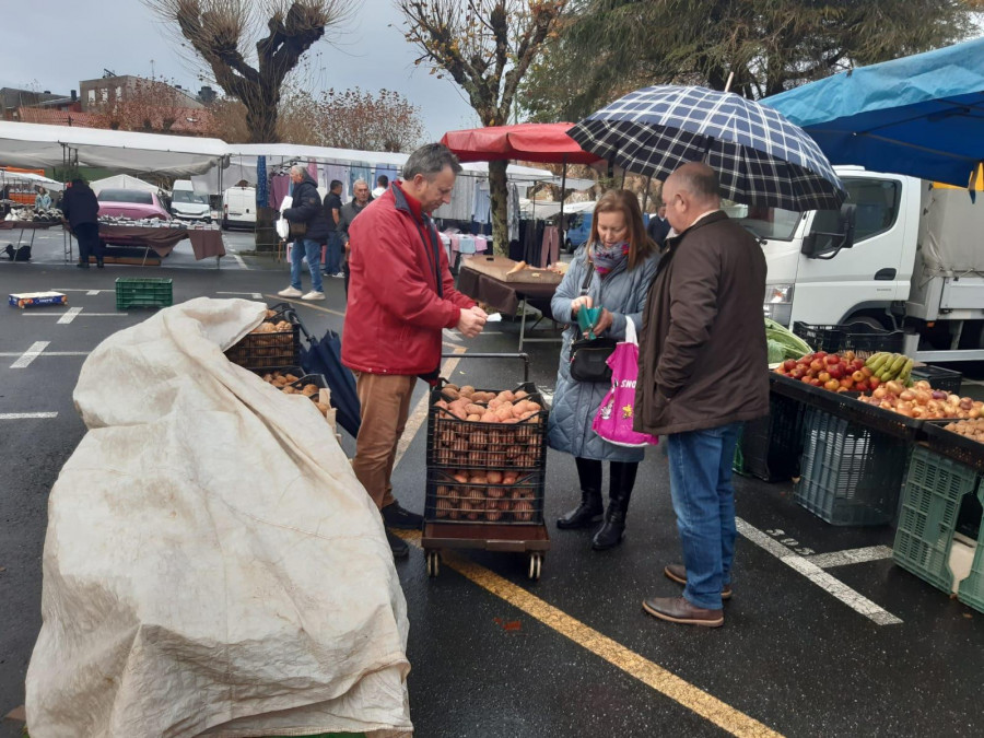 Los grelos cotizan hasta 4 euros en Paiosaco