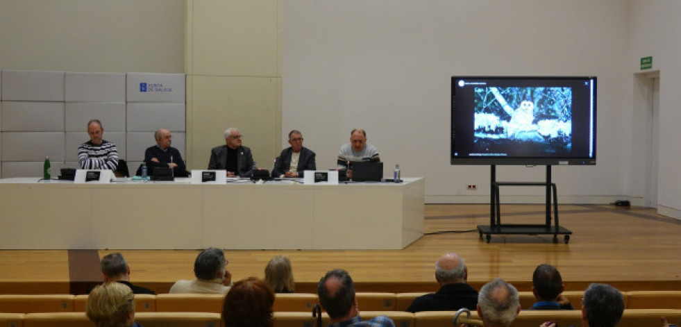 A Real Academia Galega presenta unha ferramenta web cos nomes galegos das aves de Galicia e España