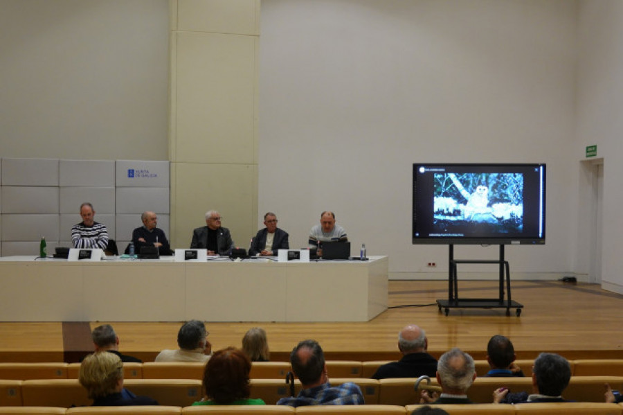 A Real Academia Galega presenta unha ferramenta web cos nomes galegos das aves de Galicia e España