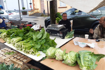 Coliflor feria carballo navidad