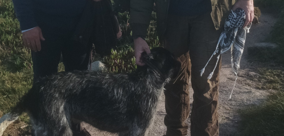 Final feliz para Bico, el perro del edil de Podemos rescatado por el alcalde del PP