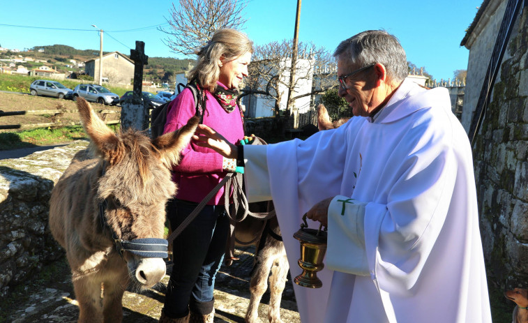 Los animales van a misa en Noicela