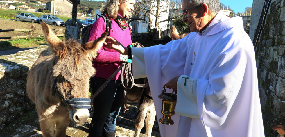 Los animales van a misa en Noicela