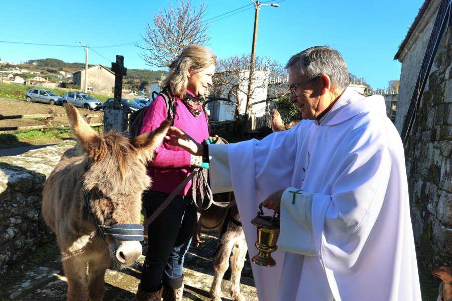 Los animales van a misa en Noicela