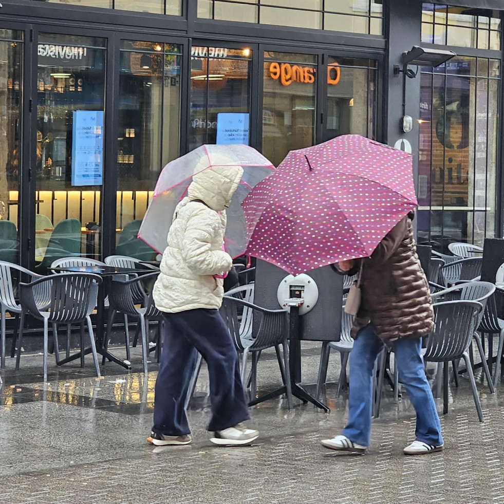 Temporal carballo