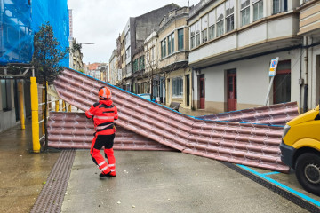 Tejas caidas en carballo temporal