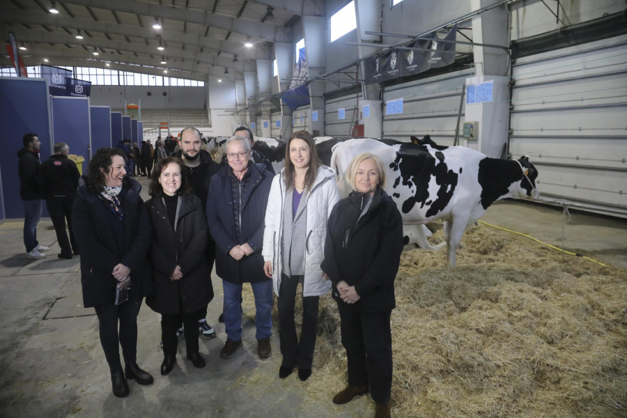 En la Poxa de Gando Frixón de Santa Comba las dos mejores vacas se vendieron por 3.800 euros cada una