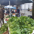 El verde de los grelos y el olor a cocido