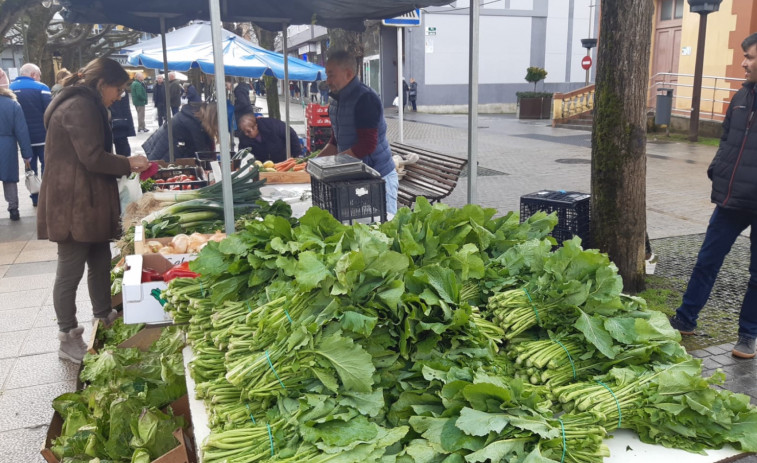 Abundante oferta de grelos en la feria de Carballo para surtir los cocidos de toda la comarca