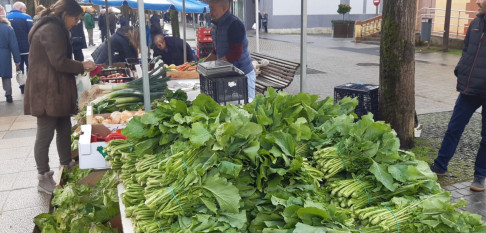 Abundante oferta de grelos en la feria de Carballo para surtir los cocidos de toda la comarca