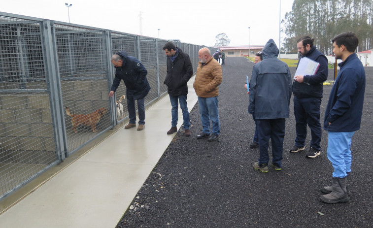 A Laracha derivó medio centenar de animales al centro de protección de Servigal en los dos últimos años