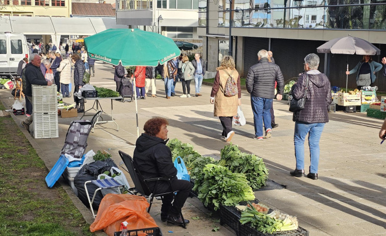 Los grelos siguen dominando en la feria de Carballo