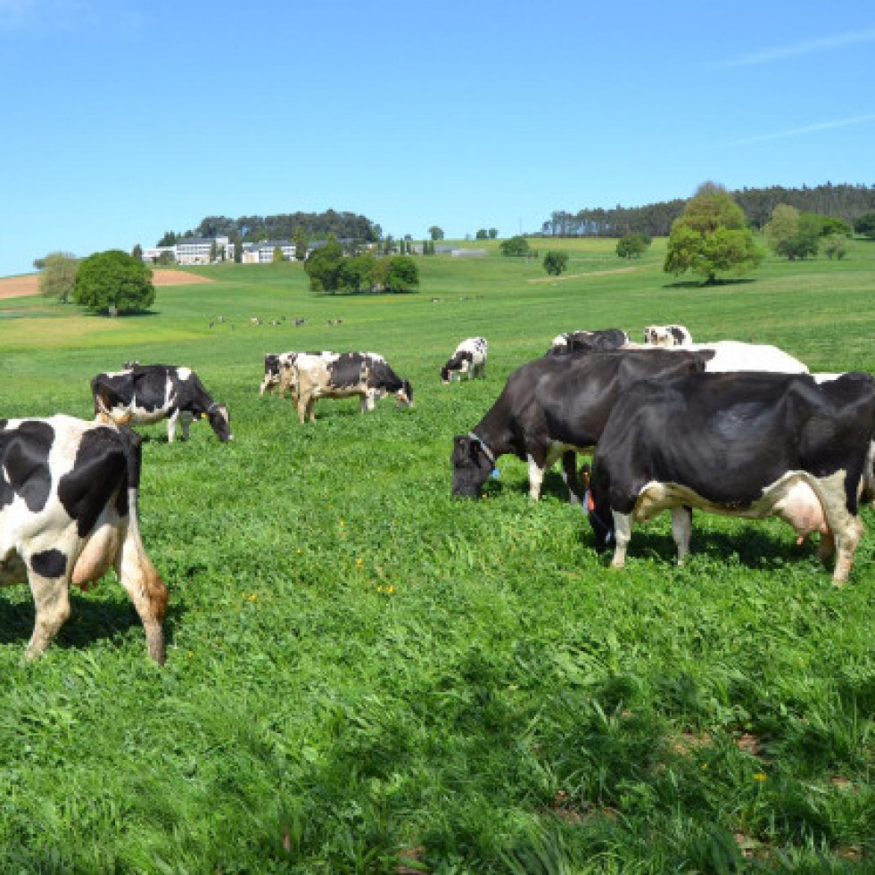 Novedades en la PAC 2025: apoyo a nuevos productores ecológicos y flexibilización en la rotación de cultivos