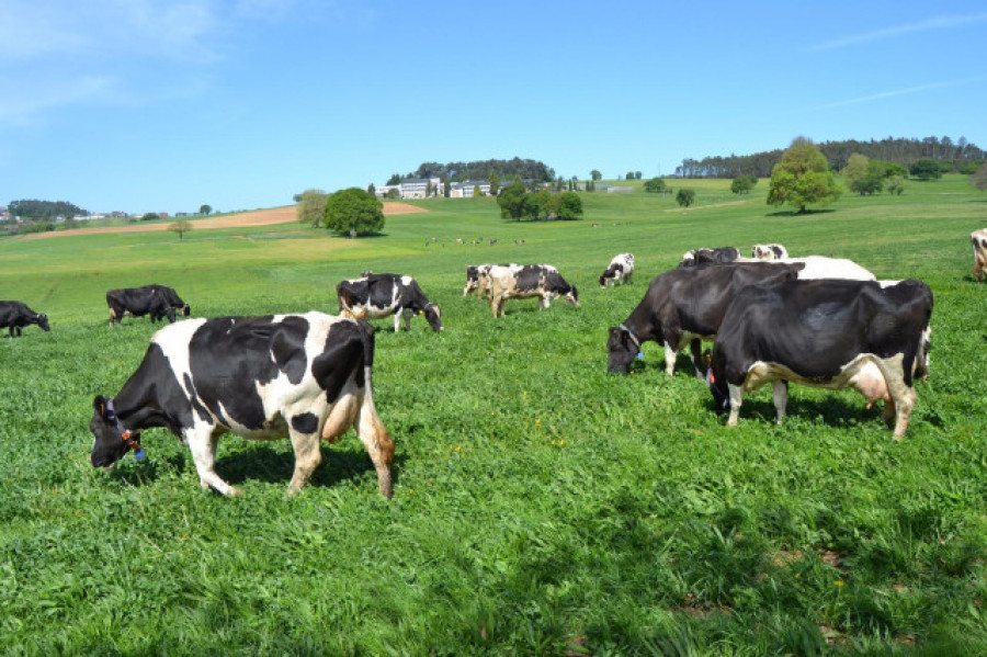 Novedades en la PAC 2025: apoyo a nuevos productores ecológicos y flexibilización en la rotación de cultivos